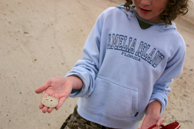 Sand Dollar Whisperer