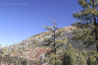 Sunset Crater 1