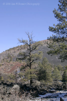 Sunset Crater 2