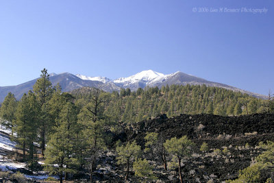 View of the San Francisco Peaks 1