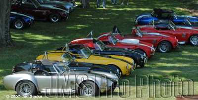g6/83/544183/3/81273687.3GUCk3NQ.jpg