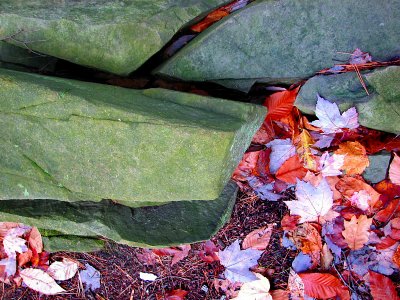 roches vertes et feuilles rouilles