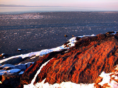 rocher aux lichens