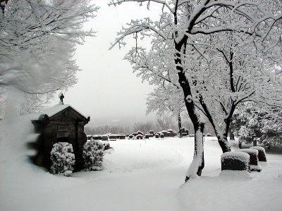 LE CIMETIRE MONT-ROYAL EN HIVER