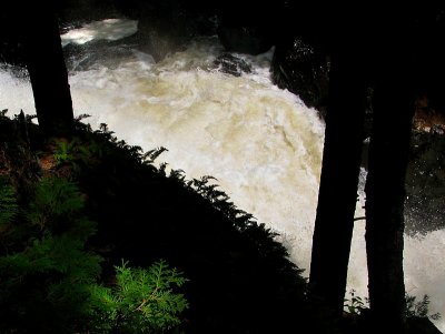 g6/83/550183/3/81046282.k74iY6x0.jpg