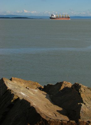 g6/83/550183/3/85240553.WpgSY6PN.jpg