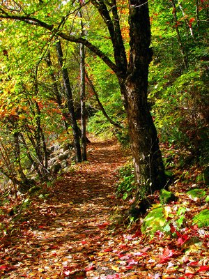 chemin de septembre