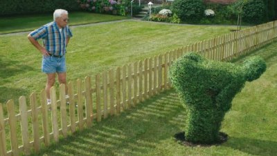 bush.1.jpg