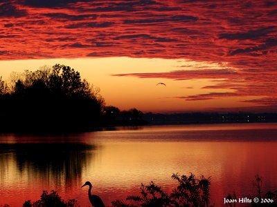 Niagara River Sunrise 04