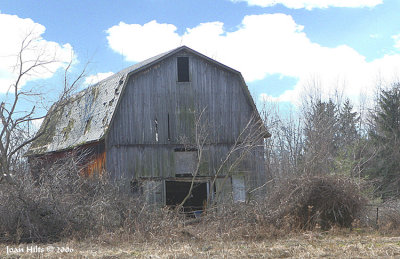 Old Barn 03