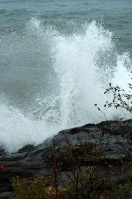 DSC_5759.JPG