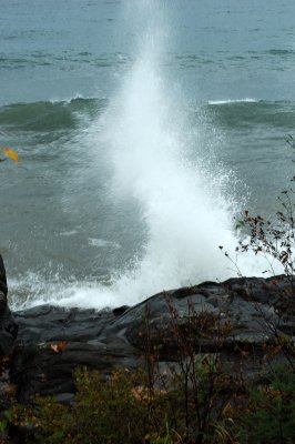 DSC_5767.JPG