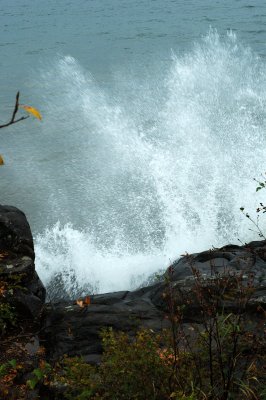 DSC_5770.JPG