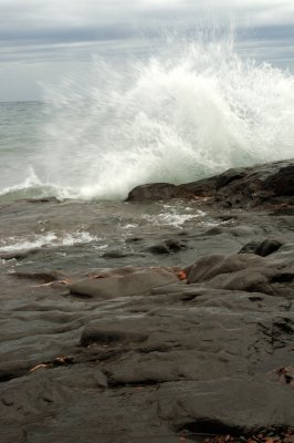 DSC_5815.JPG