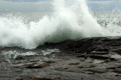DSC_5837.JPG