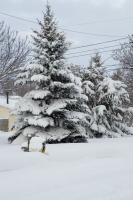 DSC_6022