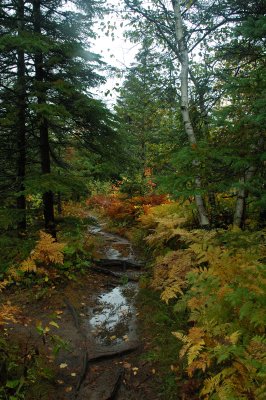 DSC_5473.JPG