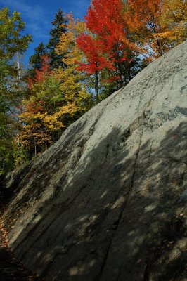 DSC_5555.JPG