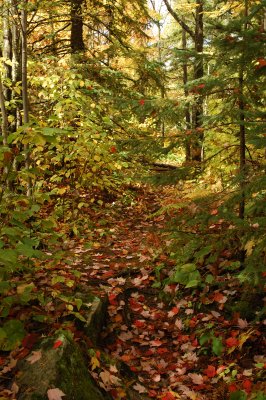 DSC_5558.JPG