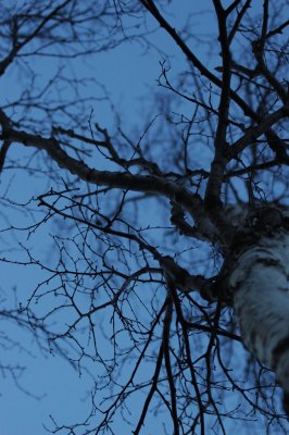 DSC_5709.JPG