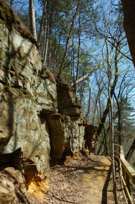 DSC_6120.JPG