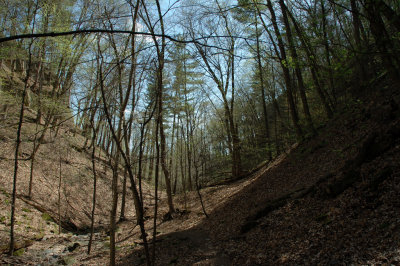 DSC_6134.JPG