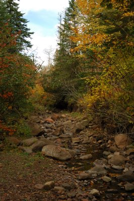 DSC_5870.JPG
