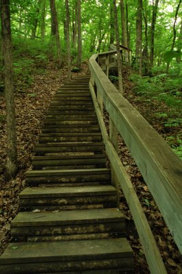 DSC_6245.JPG