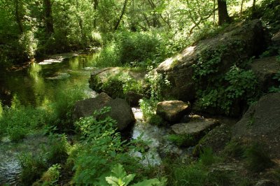 Beaver Valley Creek