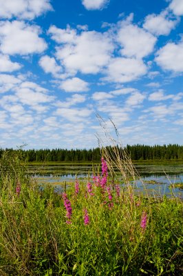 Pelican Lake