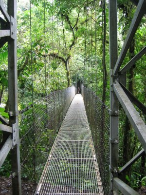cool picture of a hanging bridge