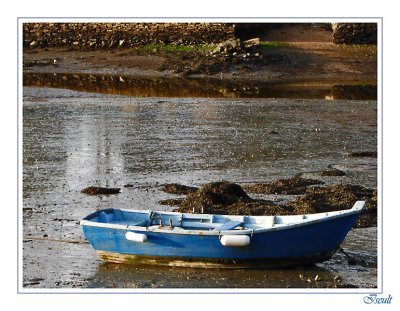 Barque bleue