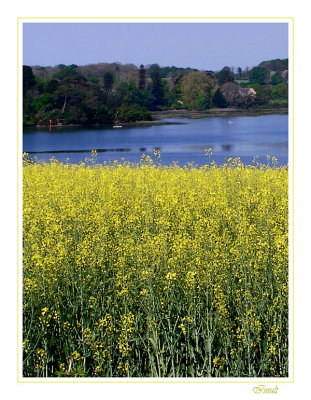 La rivire au fond