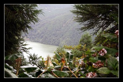 Lagoa verde - Green lake at Sete Cidades