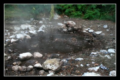 Boiling mud in Caldeira Velha