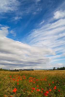 Near Boroughbridge