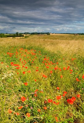 Near Boroughbridge