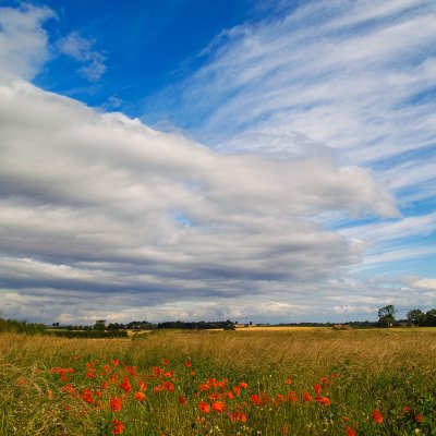 Near Boroughbridge