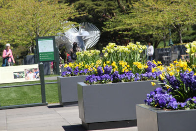 ir-130501_09906_11-03.jpg