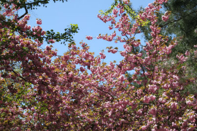 ir-130501_09913_11-09.jpg