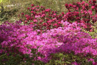 ir-130501_09918_11-15.jpg