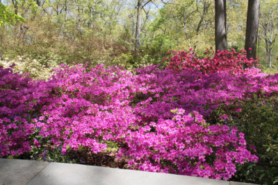 ir-130501_09919_11-16.jpg
