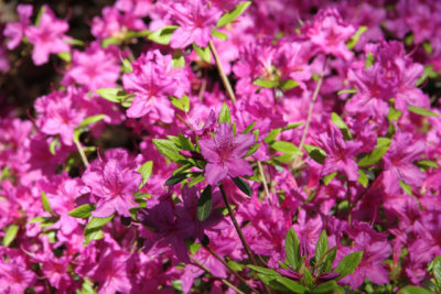 ir-130501_09920_11-17.jpg