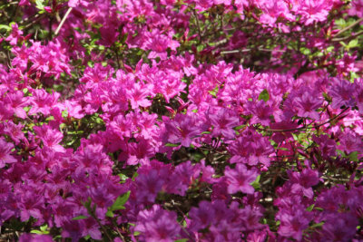 ir-130501_09922_11-17.jpg