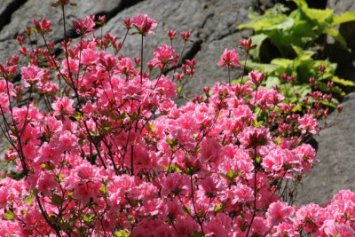 ir-130501_09927_11-21.jpg