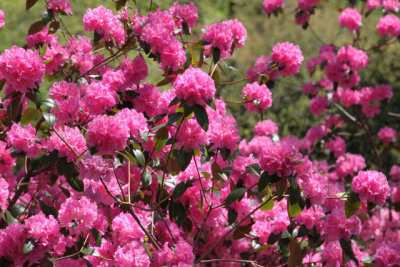 ir-130501_09933_11-24.jpg