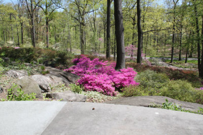 ir-130501_09939_11-28.jpg