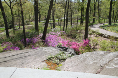 ir-130501_09940_11-28.jpg