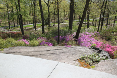 ir-130501_09941_11-28.jpg