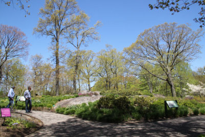 ir-130501_09943_11-29.jpg